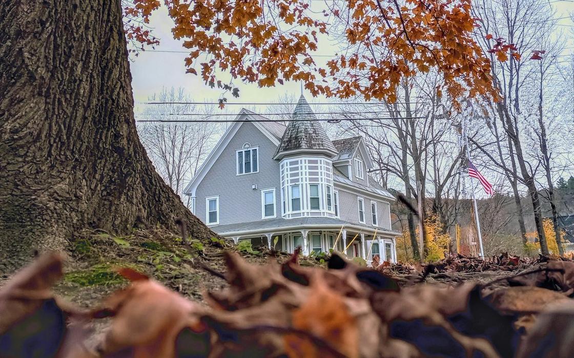 Large street tree in front of a Victorian house in a Massachusetts neighborhood