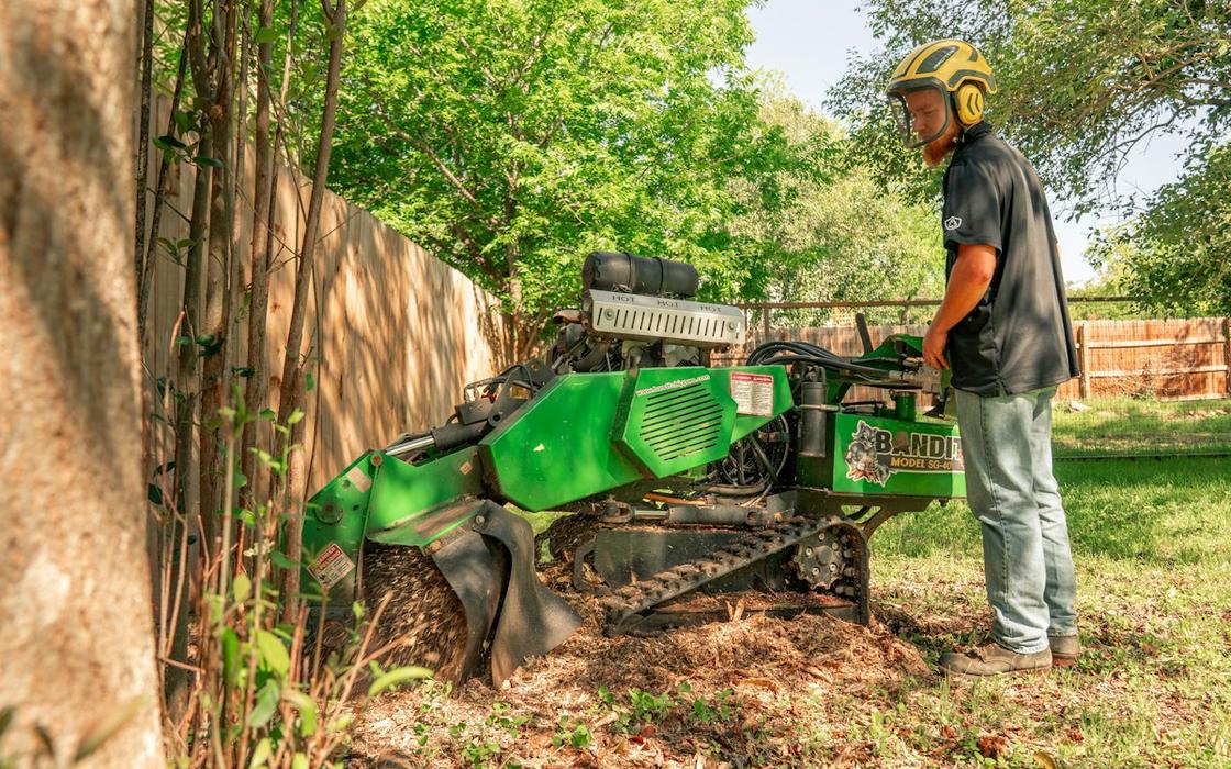 Stump grinder working on an old maple stump in a Framingham backyard